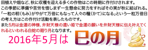 金蛇ブレスは巳の月限定