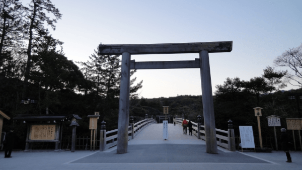 神宮の樹々