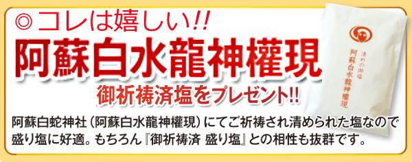 盛り塩に最適なお塩