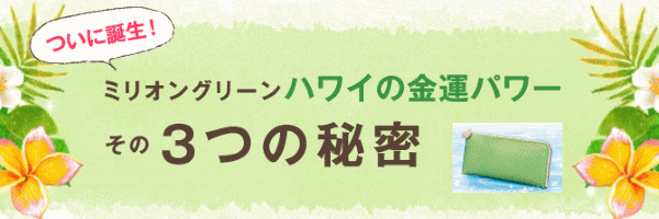 ミリオングリーンの3つの金運の秘訣