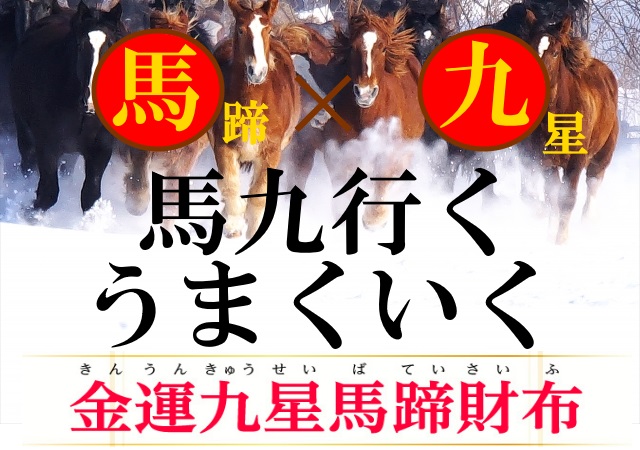 金運九星馬蹄財布は、うまくいく財布