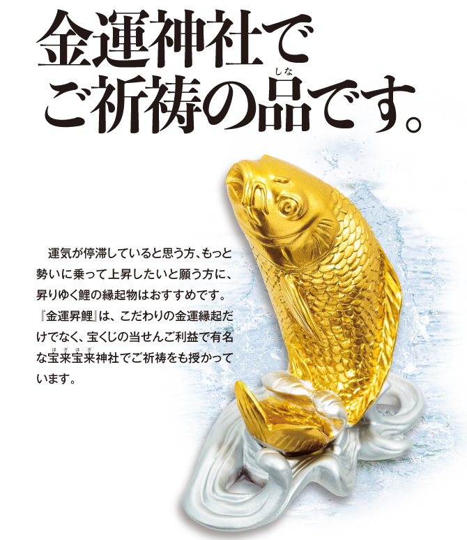 金運昇鯉