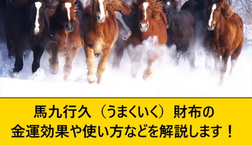 金運馬九行久（うまくいく）財布の金運効果や使い方などを解説します！