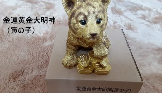 金運黄金大明神（寅の子）買ってみた