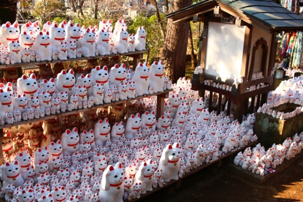 豪徳寺の招き猫の数がすごいぞ！